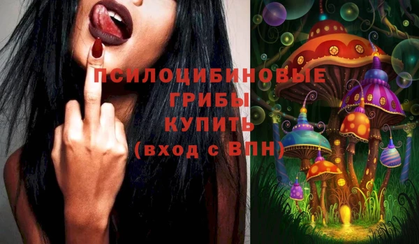 индика Белокуриха