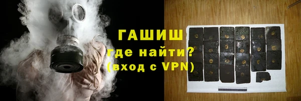индика Белокуриха