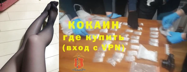индика Белокуриха