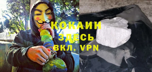 индика Белокуриха