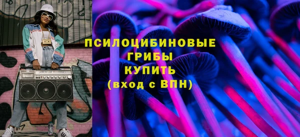 индика Белокуриха