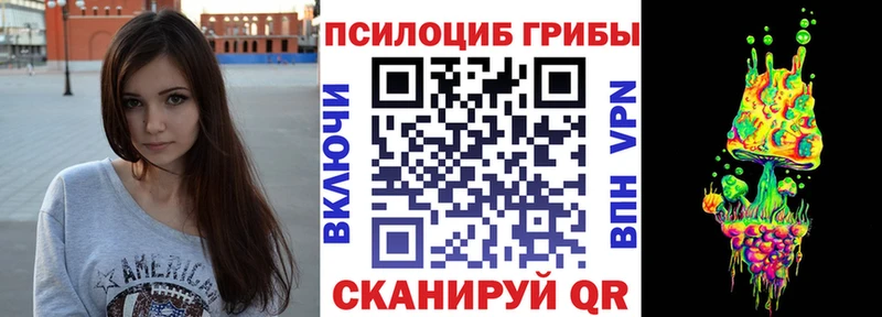 Купить где  Светлый  Псилоцибиновые грибы мицелий 
